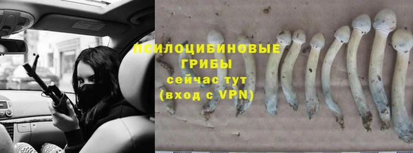 кокс Балабаново