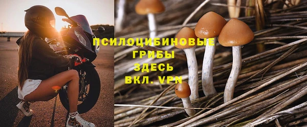 spice Аркадак