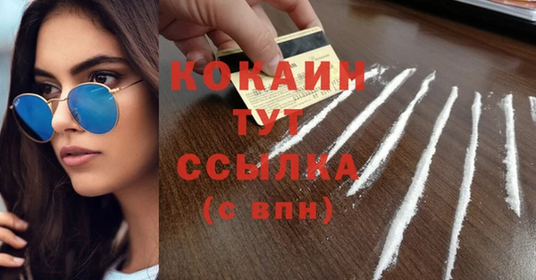 spice Аркадак