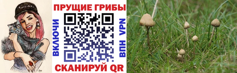 Псилоцибиновые грибы мицелий  Набережные Челны 